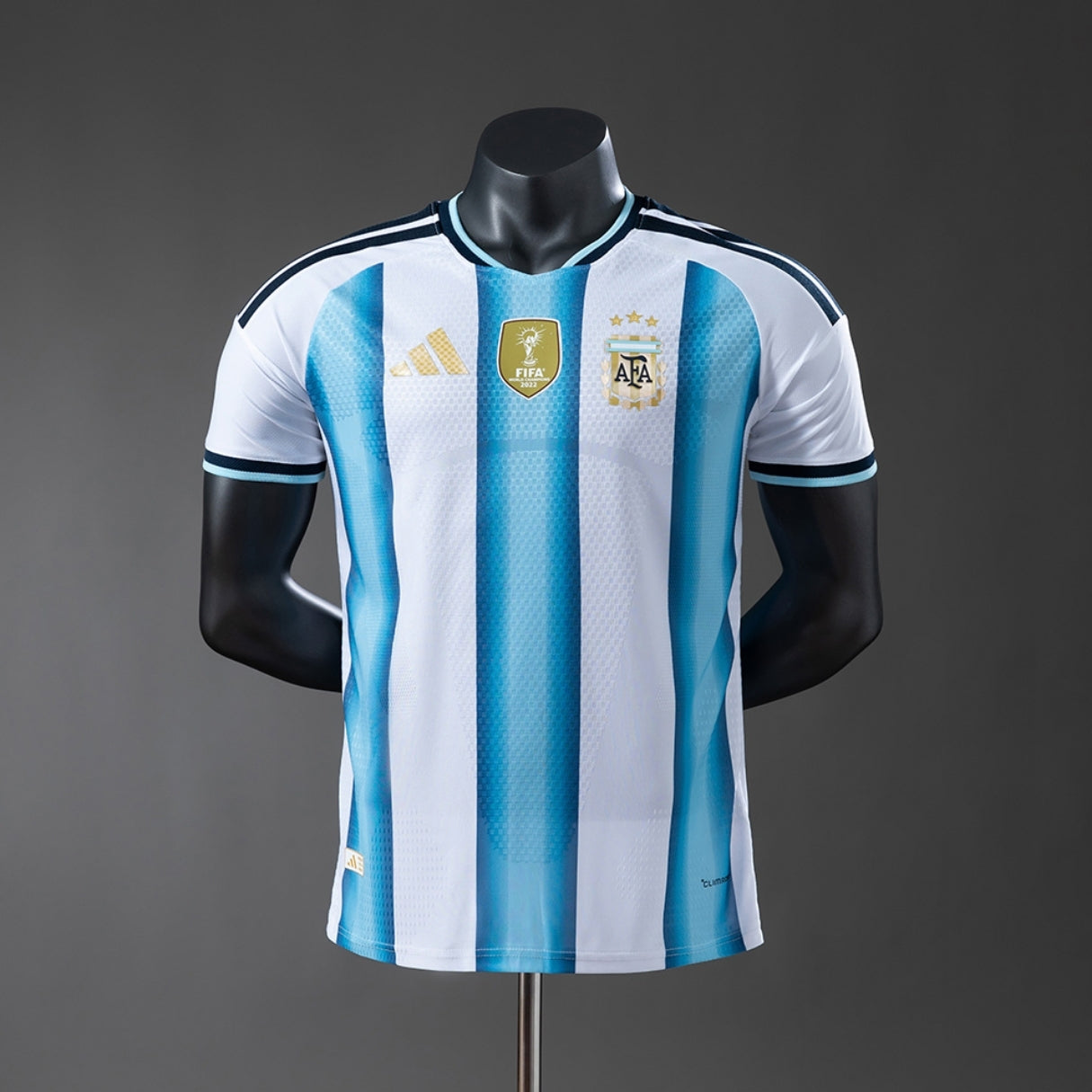 ARG Home WC 26 Player Version