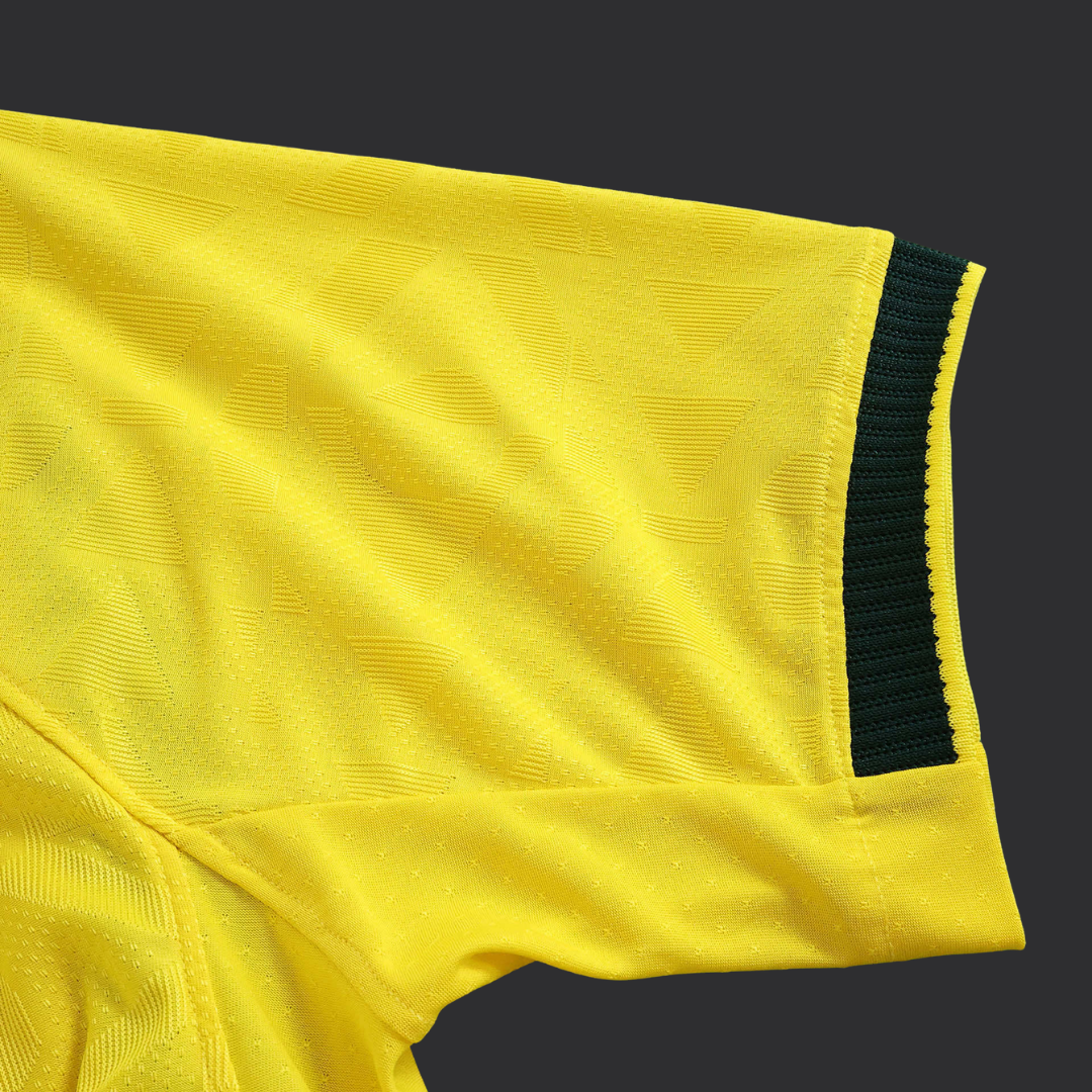 BRAZ Home WC 26 Player Version