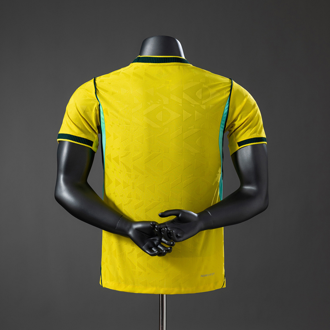 BRAZ Home WC 26 Player Version