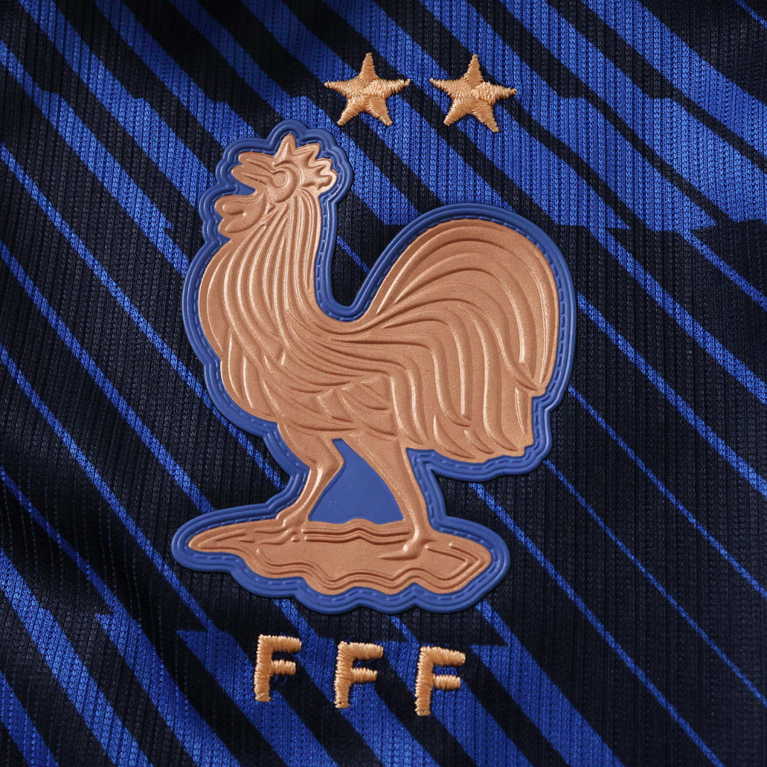 FRA Home WC 26 Fan Version